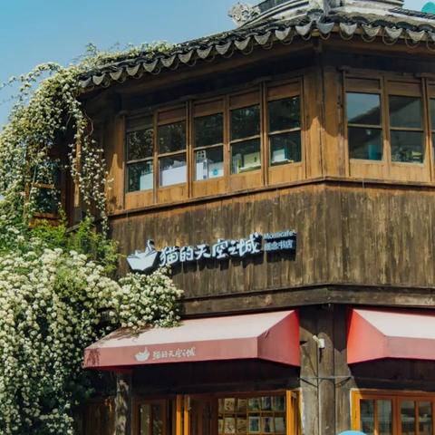 今日苏州之旅最新消息，今日苏州之旅最新消息视频