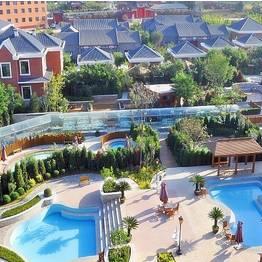 今日天池行情最新消息,回顾百年路,启航新征程作文