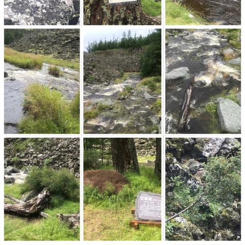 今日天池行情最新消息,回顾百年路,启航新征程作文