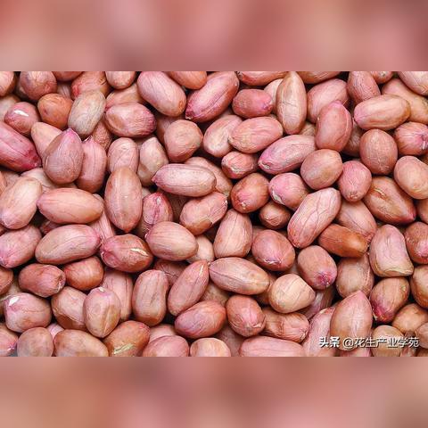 南阳当地花生价格表最新,南阳地区花生价格行情