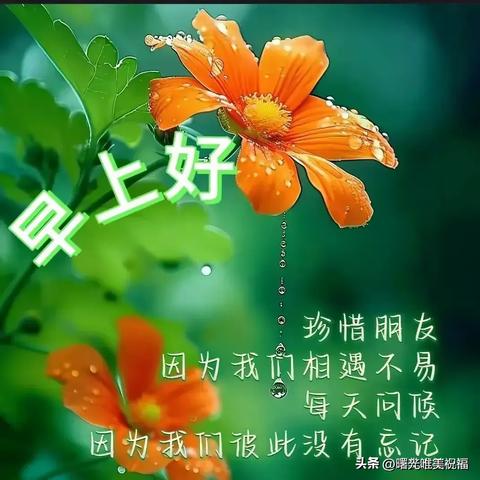 今日春分最新分析数据图,今日春分动态美图