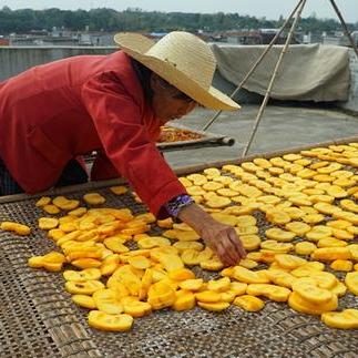 今日柿子新闻最新报道,今天小柿子多少钱一斤