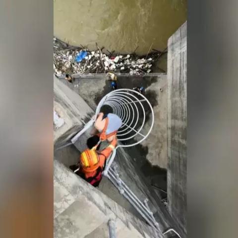 青岛游泳老外事件视频最新,青岛游泳失踪