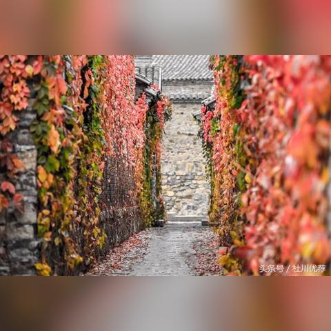 密云美食推荐排名榜最新,密云当地美食