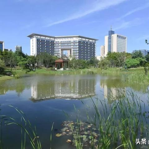 舟山幼儿园工作招聘网最新招聘,舟山民办幼儿园招聘信息