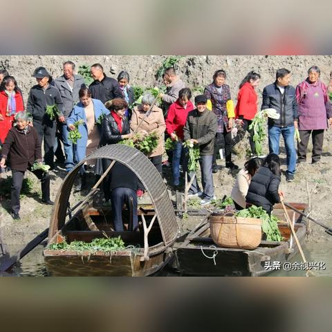 农村土丘新闻头条,农村土菜大全图片