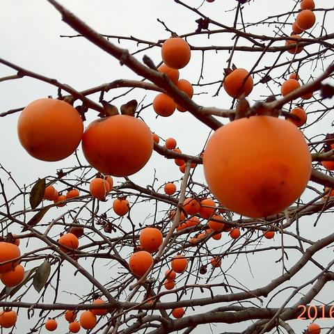 萧县新闻头条大雨,萧县新闻今天
