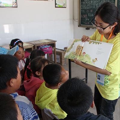 甘肃鸽子用品价格查询最新,信鸽甘肃鸽网