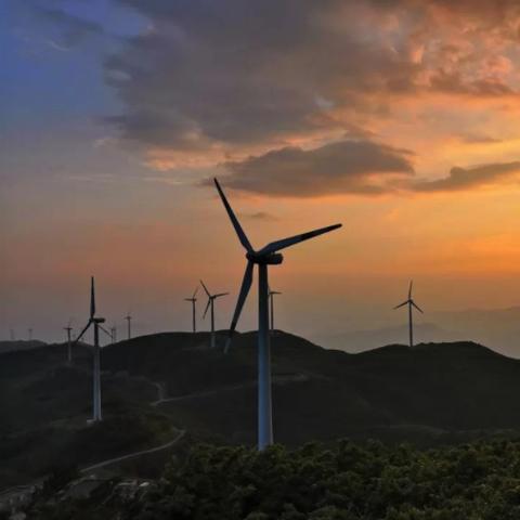 荷兰今日台风最新消息,今天荷兰天气