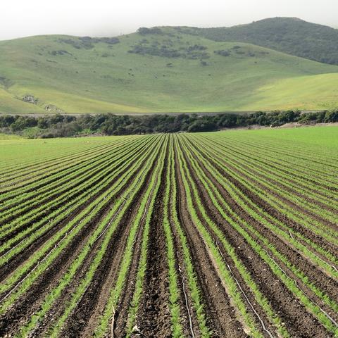 世界独立硒矿排名,世界硒矿分布图