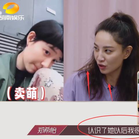 蛋姐游戏全攻略,关卡解析、隐藏任务与技能运用,助你轻松通关!