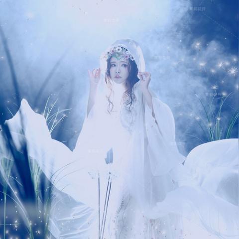 南昌婚礼顾问招聘启事，寻求精英加入，共创完美婚礼策划体验