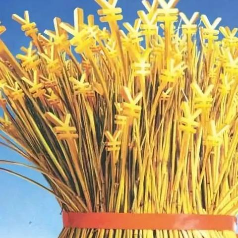 双女户补贴最新政策解读，经济支持促进性别平等与家庭发展