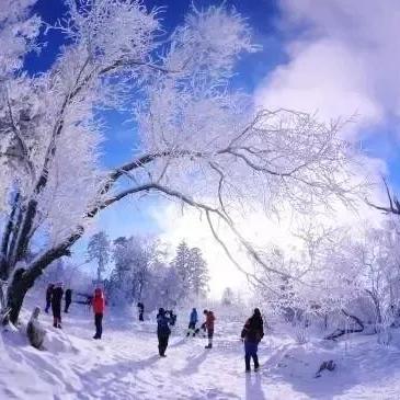 松花湖造雪工程启动,推动冰雪运动与旅游产业发展