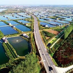 金湖国道车祸,多车相撞,交通混乱,伤亡待报,事故原因调查进行中