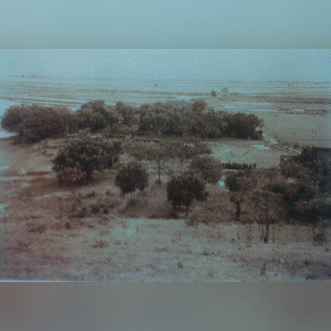 重庆石器口江畔焕新貌，城市更新与休闲胜地同步发展