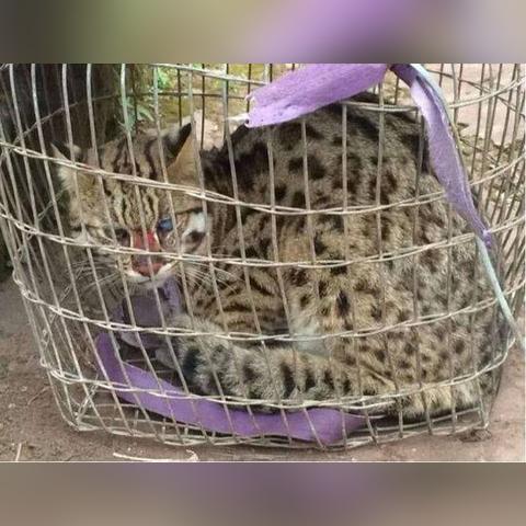 井底之蛙 第2页