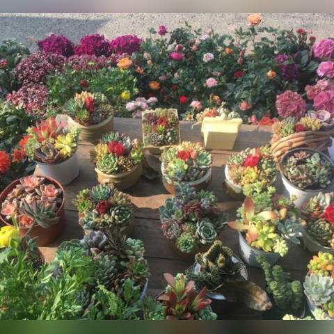 成都热点事件持续发酵,全面解读、深度剖析,持续关注动态