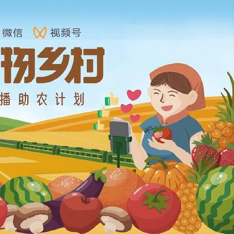 直播新风尚,乡村振兴的新动力与城乡交流的桥梁