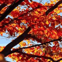 郑州八球比赛地点查询指南，关注官方多渠道获取最新动态