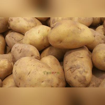 肥城烧烤城最新招聘,烧烤师傅、服务员及清洁工等职位火热招募