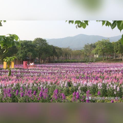 悠适KTV招聘启事,服务员、歌手等职位等你来挑战!