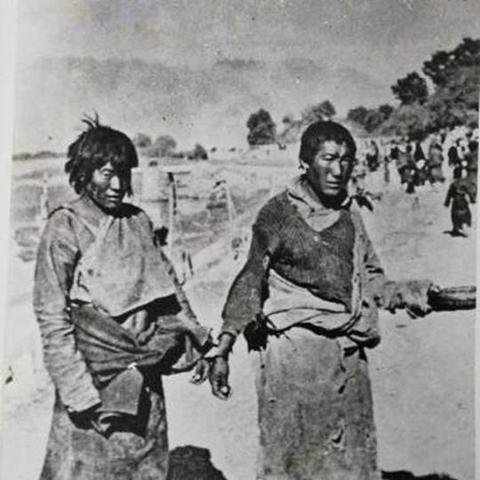 牛马视频平台,最新内容轻松看,分享体验乐趣多