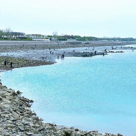 天津特色社区排名榜揭秘,小众社区的魅力和活力