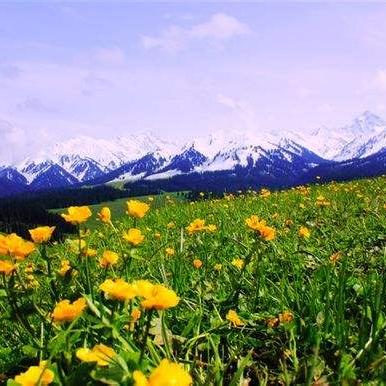 最新公交车天鹅湖路线图详解,便捷出行指南