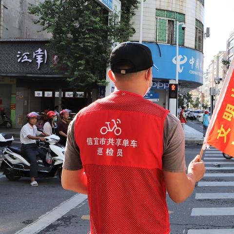 信宜学生单车骑行事故引发关注,加强交通安全教育与管理成焦点