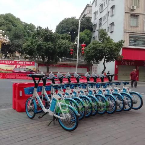 信宜学生单车骑行事故引发关注,加强交通安全教育与管理成焦点