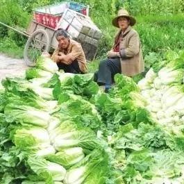 重庆至甘肃交通严重拥堵,原因分析及应对措施