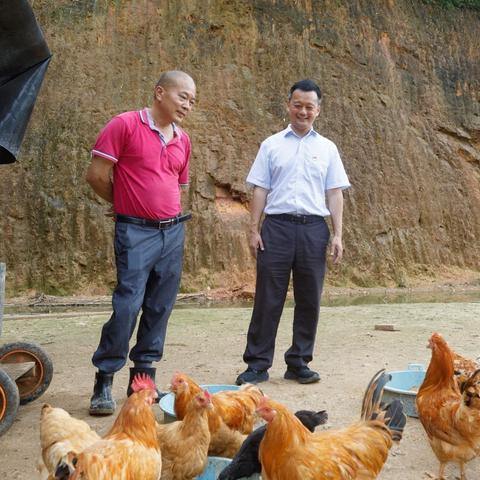 河南农行战略蓝图揭秘，创新服务、深化改革，助力数字化转型与经济发展支持