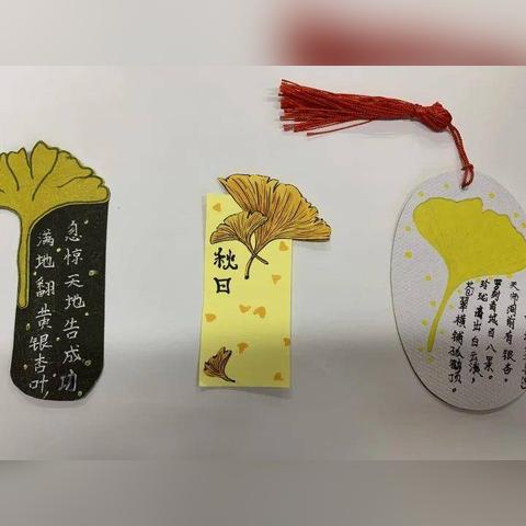 最新版语文书二年级郑州版,探索与体验语文学习之旅