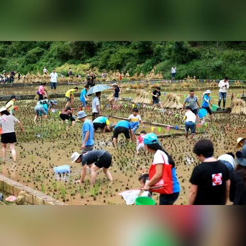 幸运儿喜获脚踏车,开启便捷出行之旅,好运鼓舞人心