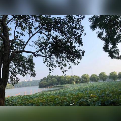 杜甫江阁新动态，揭秘历史遗迹，探寻文化底蕴，2024焕发新生机