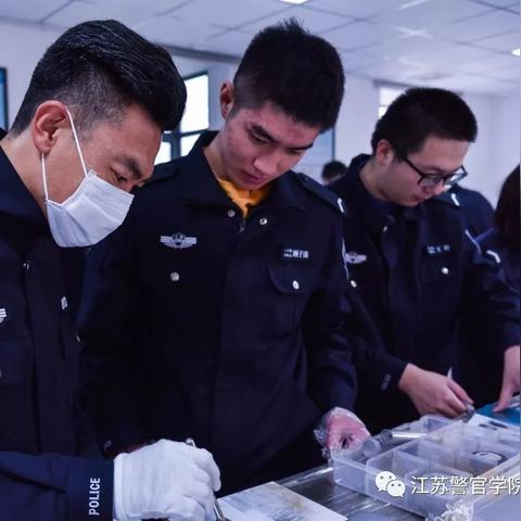 精选百首搞笑歌曲大全，欢乐旋律放松心情