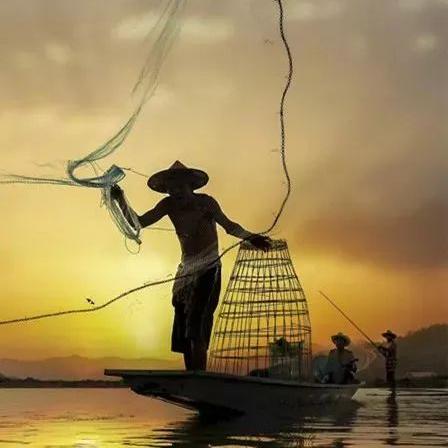 钦州海鲜小哥事业持续火热,最新动态及事业发展关注