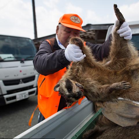 日本环境污染问题严峻，政府加强环保法规推动绿色能源使用挑战重重