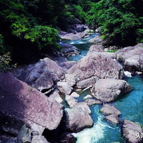 北京四王同框,历史与现代的完美交融