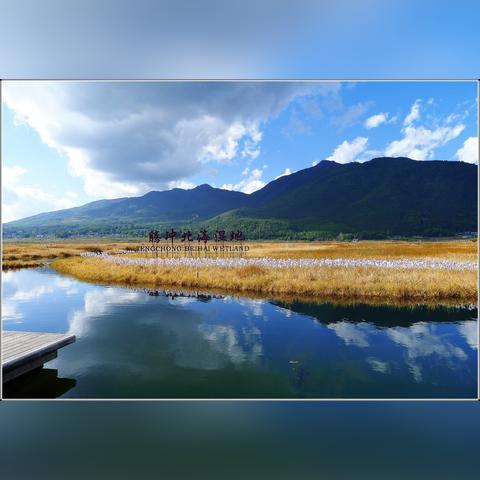 腾冲草原门票优惠大解密,学生、老人专享,团购淡季优惠多