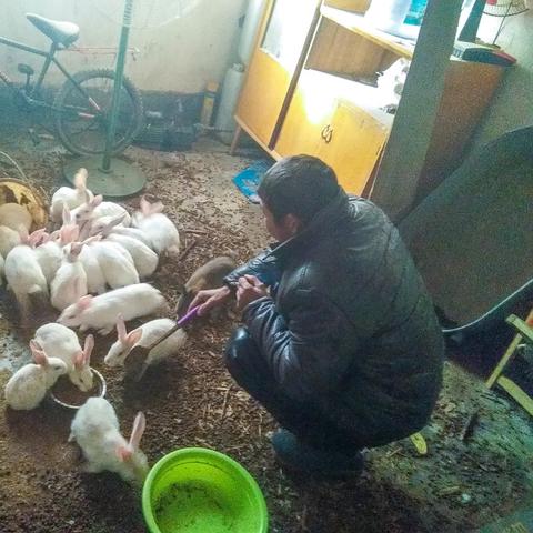 淮北兔子服饰公司招聘精英团队,共创时尚未来