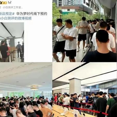 螺丝视频观看指南,全面资源,了解制造、性能与使用,选购无忧