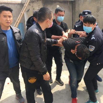 项城楼顶出租最新动态，全面资讯平台