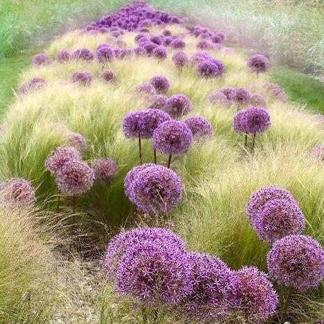 黄石街袋子厂招聘启事,高薪诚聘技术熟练员工及行业新人