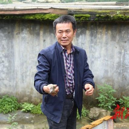 湘西醉蛙,特色美食探寻与团购优惠盛宴