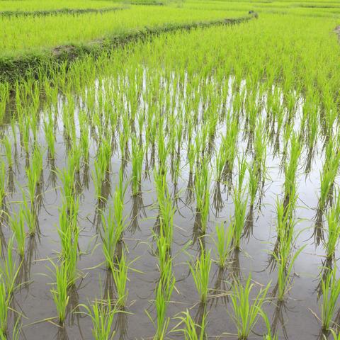 曲江新沙坡村疫情严峻,部门积极应对措施加强防控提醒通告