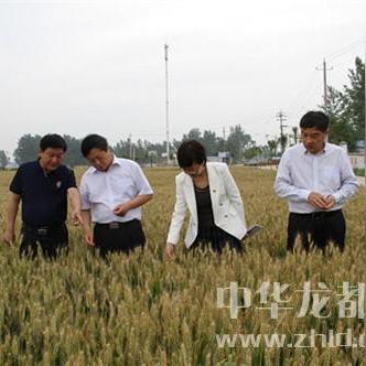 太康马厂招聘优秀人才，工程师、技术员等岗位火热招募中