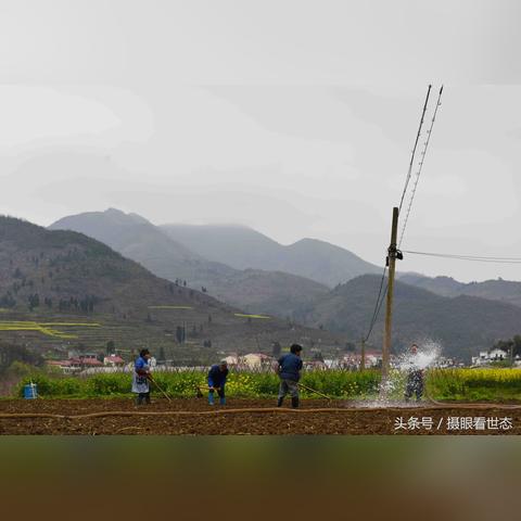 仁怀五马渣男名单曝光，警惕社交陷阱，保护个人情感安全！摘要，近日，一份仁怀五马渣男名单被公布，这些人存在不良行为，引发社会关注。事件提醒社交圈的人们提高警惕，防范社交陷阱，避免陷入类似陷阱。渣男的行为不仅伤害他人感情，还可能对社会造成不良影响。公众应引以为戒，加强社交警觉性。