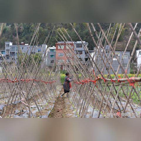 仁怀五马渣男名单曝光,警惕社交陷阱,保护个人情感安全!摘要,近日,一份仁怀五马渣男名单被公布,这些人存在不良行为,引发社会关注。事件提醒社交圈的人们提高警惕,防范社交陷阱,避免陷入类似陷阱。渣男的行为不仅伤害他人感情,还可能对社会造成不良影响。公众应引以为戒,加强社交警觉性。
